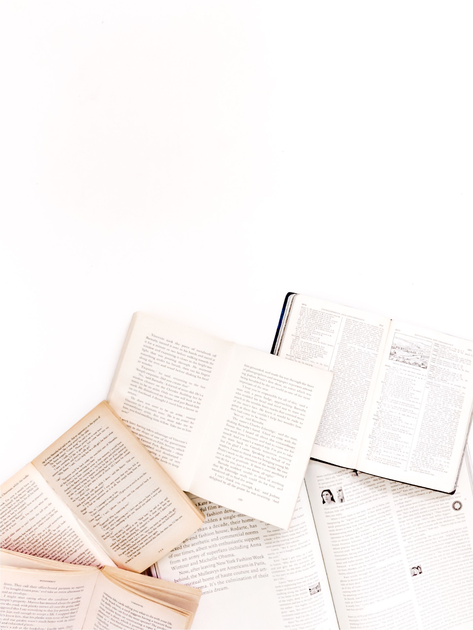 Librairie Mollat: Cult & Cultural